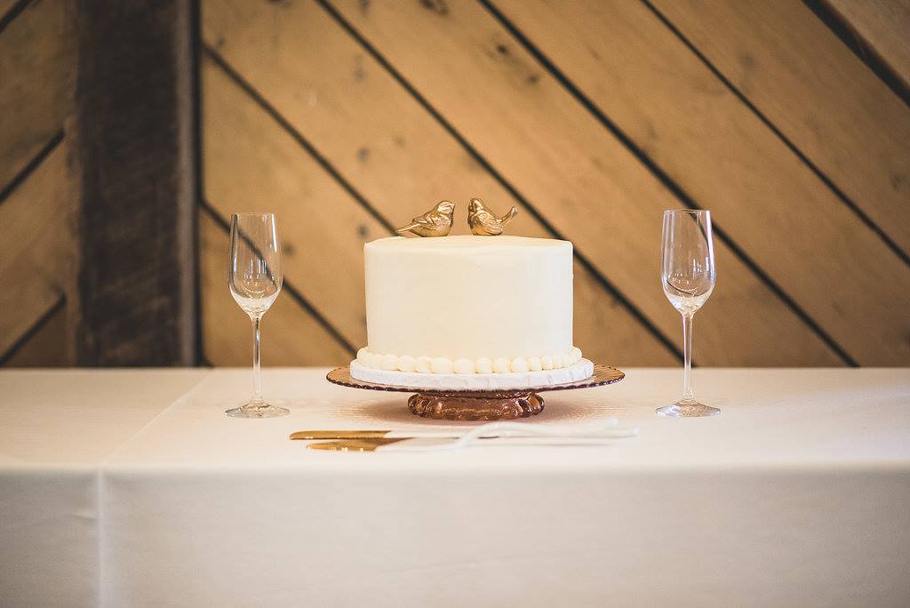 Amy and Jeff Wedding The Lodge Barn Charlottesville Virginia18