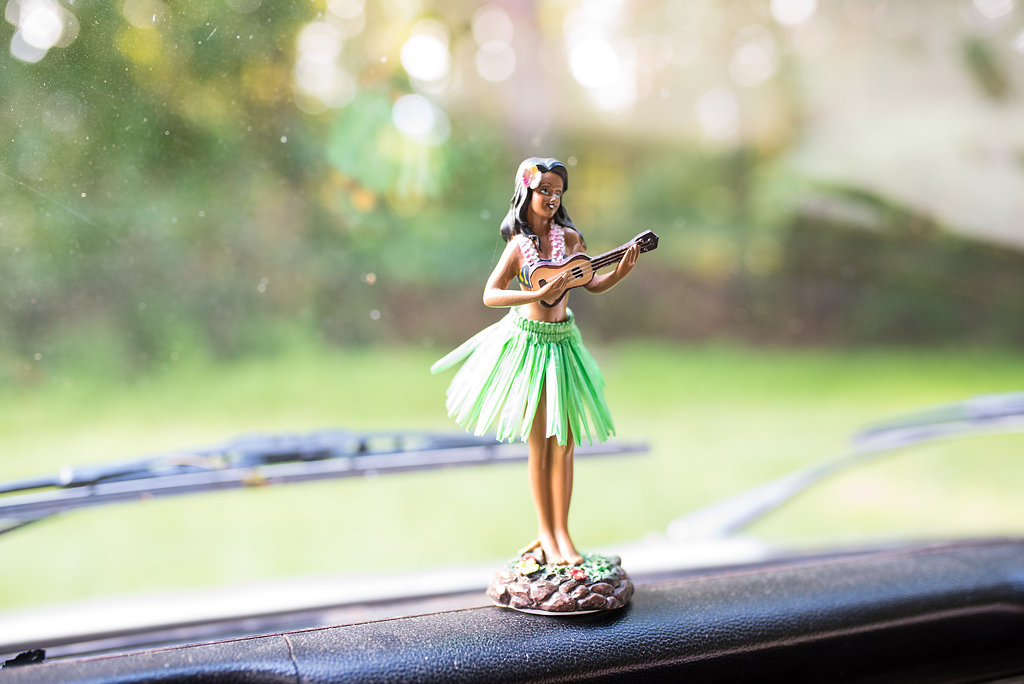 Lil Photo Bus_Three Regions Images