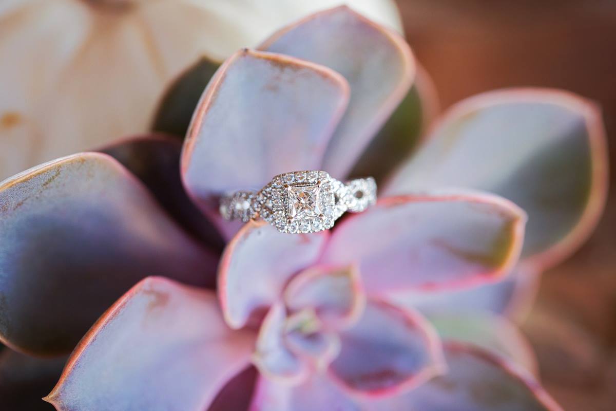 15774833_1224122997675553_3797085822006164059_o