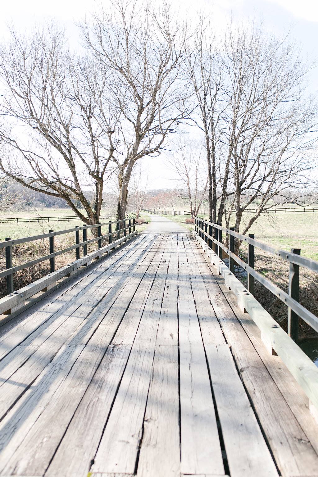 17390858_1306646609423191_3164984253053196009_o