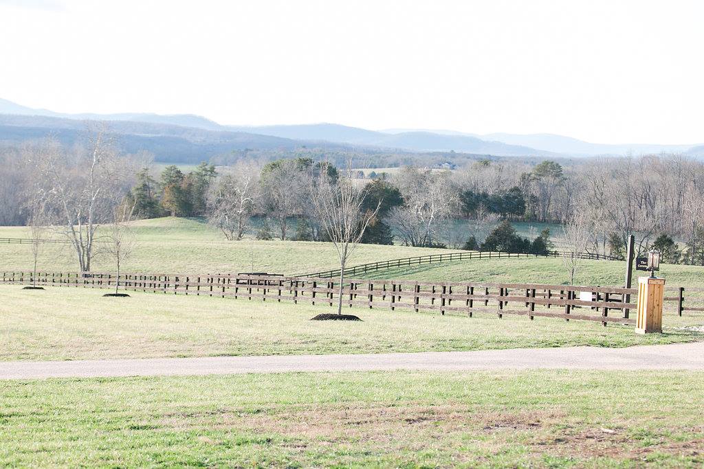 17436078_1306646229423229_5182996523730970706_o