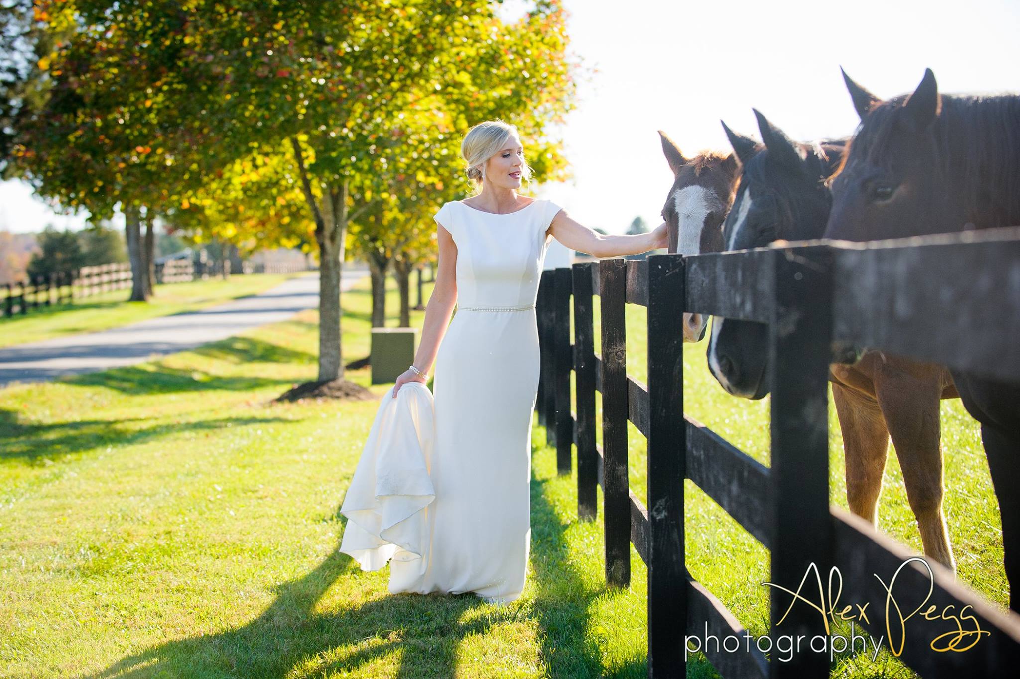 19093030_1388792281208623_2810457147068992127_o