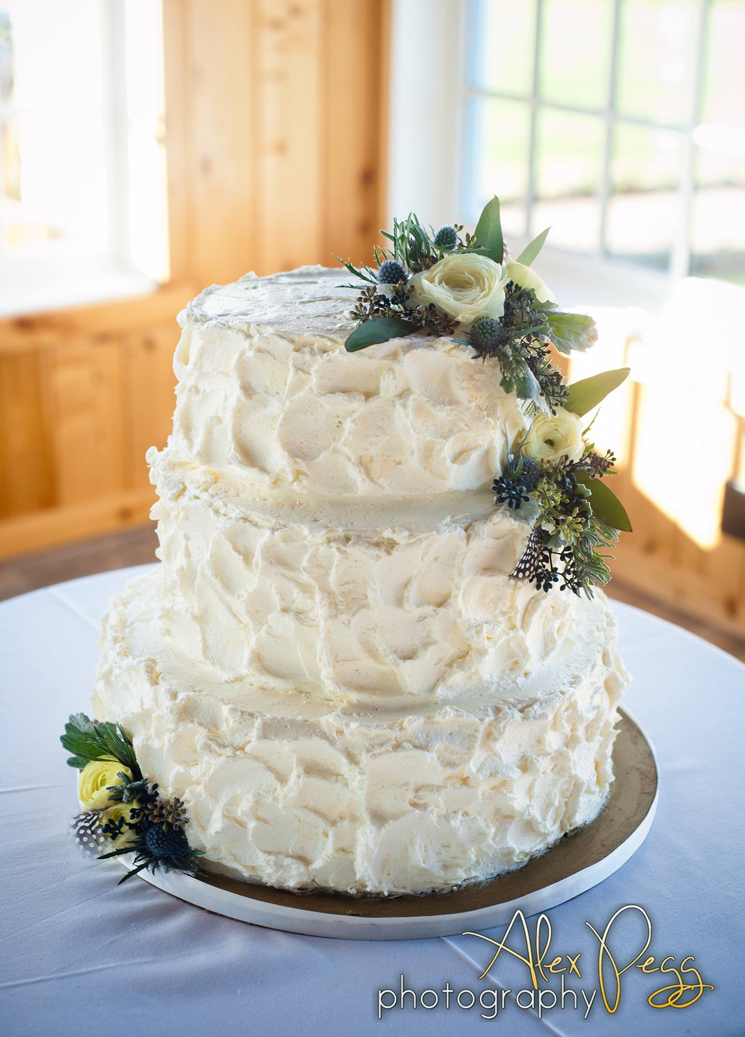 19222830_1388791477875370_8992394376169149306_o