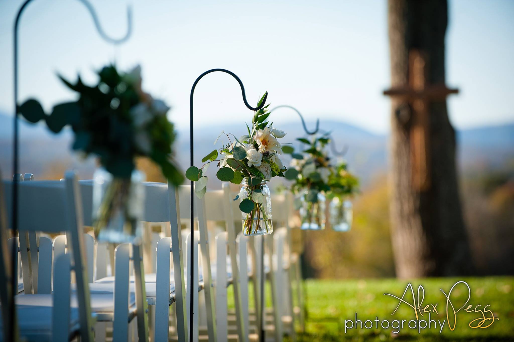 19250860_1388791281208723_1768743776413091329_o