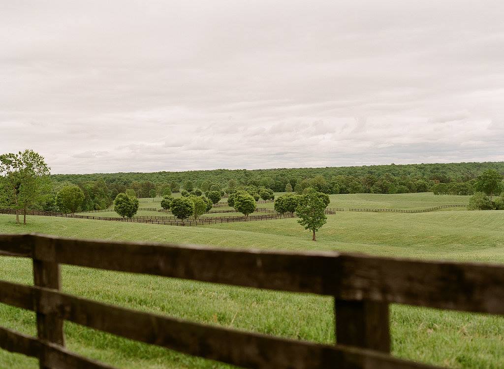 19055322_1388765687877949_5098320890634414788_o