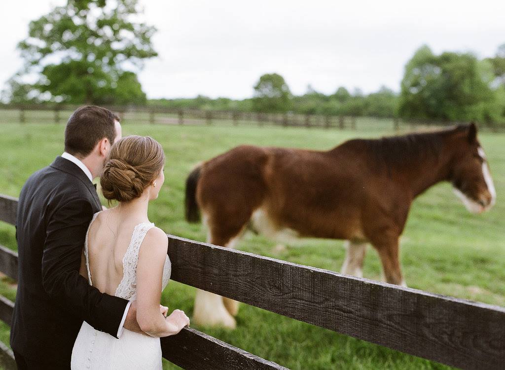 19143321_1388765841211267_15405250379011623_o (1)