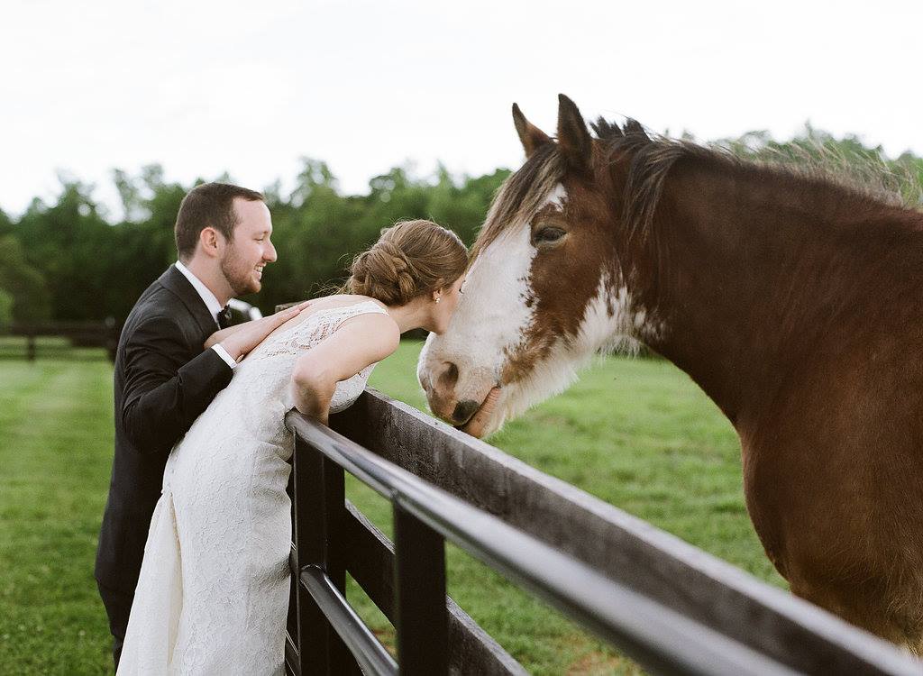 19222720_1388765874544597_8549461069115115893_o (1)