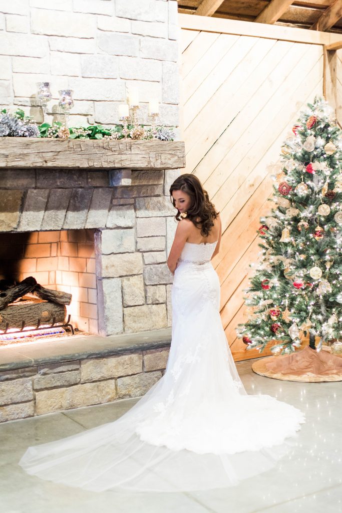 Bride with Christmas Tree
